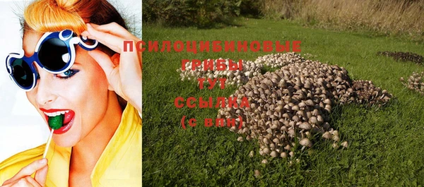 ECSTASY Алексеевка