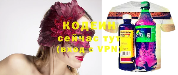 хмурый Новозыбков