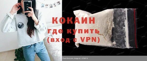 соль ск Алзамай