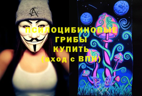 соль ск Алзамай