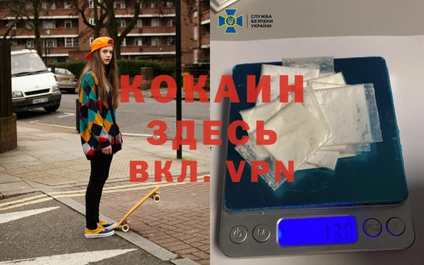 хмурый Новозыбков