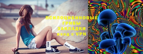хмурый Новозыбков