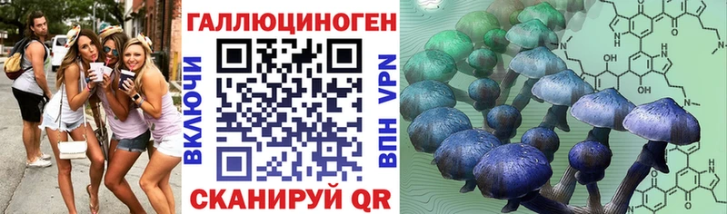 Галлюциногенные грибы Magic Shrooms  Углич 